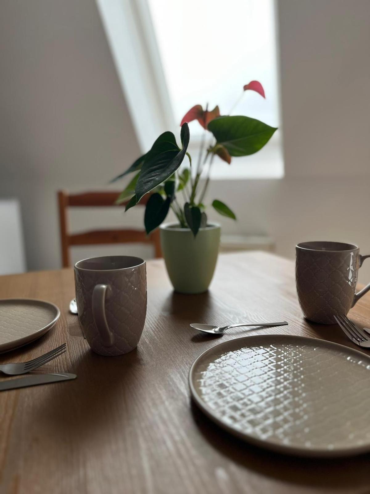1 Raum Dachgeschosswohnung In Ruhiger Lage Limbach-Oberfrohna Exterior foto